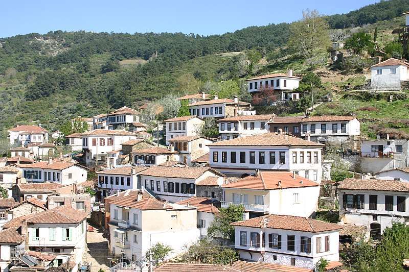 Private Ephesus, Terrace Houses & Sirince Village Tour - Tour Details