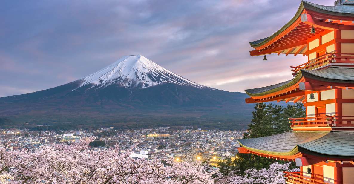 Private Full Day Sightseeing Tour to Mount Fuji and Hakone - Just The Basics