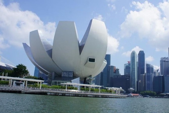 Private Full Day Singapore Highlights From Cruise Ship - Key Points
