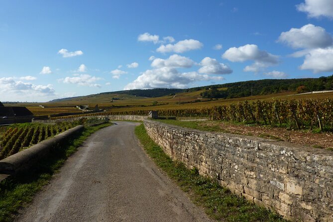 Private Full Day Tour Burgundy Gourmet - Key Points
