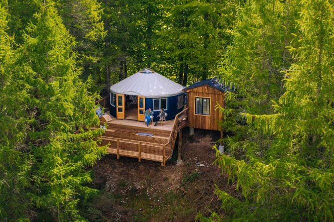 Private Glamping at Forest Tower With Transportation From CPH - Key Points