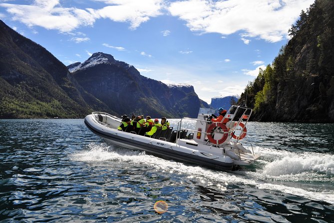 Private Guided Day Tour - RIB Sognefjord Safari and Flåm Railway - Tour Overview