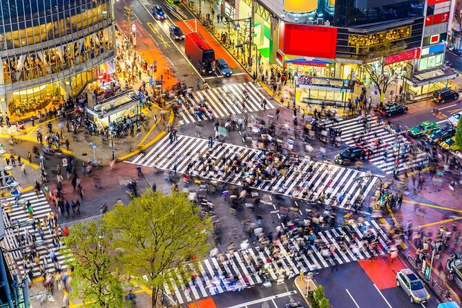 Private Half-Day Cycle Tour of Central Tokyo - Key Points