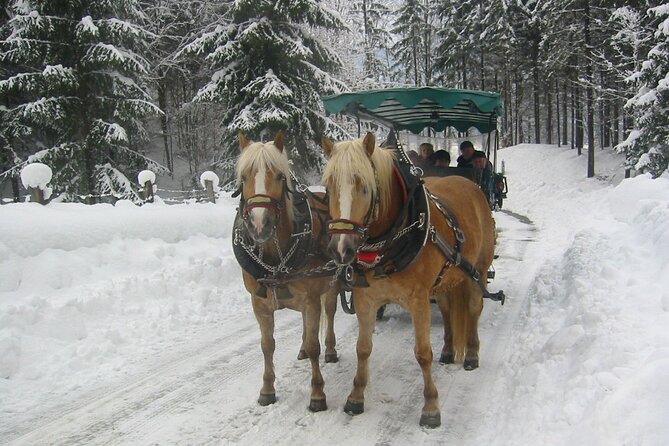 Private Horse-Drawn Sleigh Ride From Salzburg - Key Points