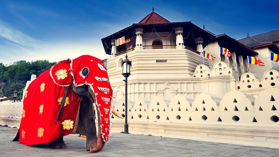 Private Kandy Day Tour From Colombo Sri Lanka - Key Points