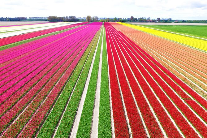 Private Keukenhof Tulip Fields & Flowers Sightseeing Tour From Amsterdam - Key Points