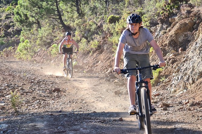 Private Mountain Bike Tour in Sierra Bermeja, Estepona - Key Points