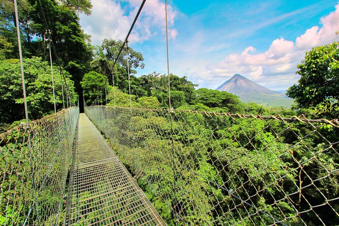 Private Nature and Relaxation Tour in San José Arenal (Mar ) - Key Points
