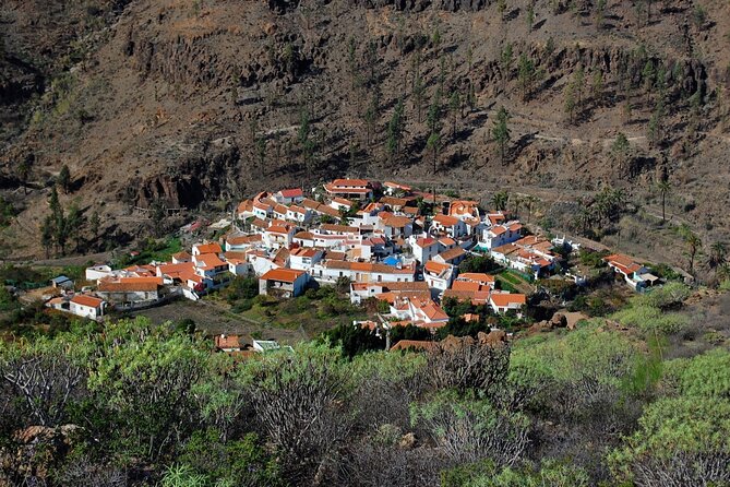 Private Shore Excursion in Gran Canaria the Miniature Continent - Key Points