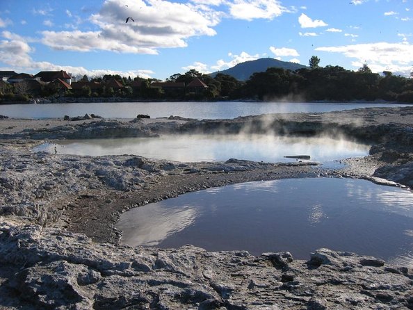 Private Shore Excursion Rotorua/ Tauranga Maori Culture, Geyser & Concert - Key Points