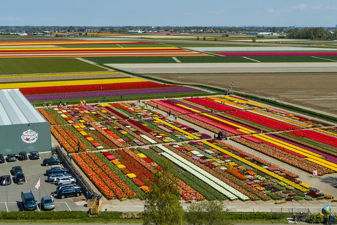 Private Sightseeing Tour to Keukenhof Gardens and the Windmills From Amsterdam - Itinerary Overview