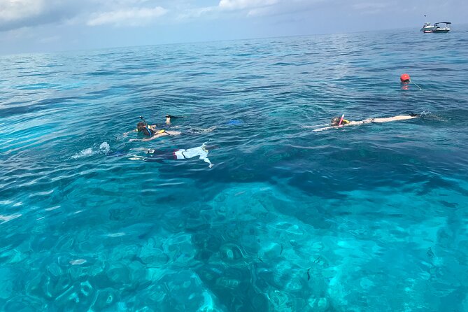 Private Snorkel Charter to the Key Largo Reef for Group up to 10 - Key Points