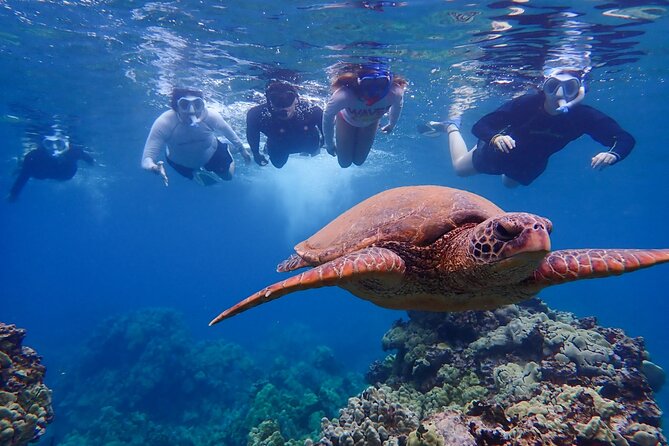 Private South Maui Turtle Town Snorkeling and Kayaking Tour (Mar ) - Key Points