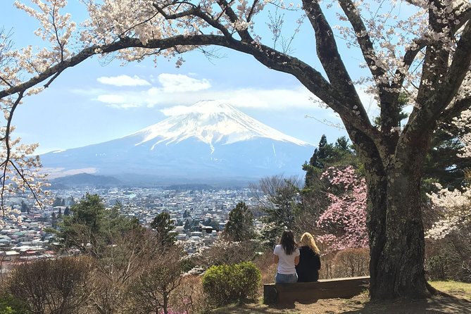 Private Three-Hour Highlights Tour, Fujikawaguchiko (Mar ) - Key Points