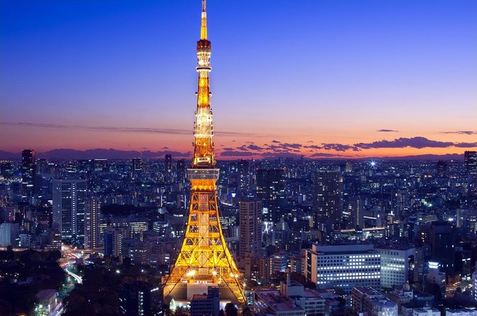 Private Tokyo Sightseeing Tour With English Speaking Chauffeur - Just The Basics