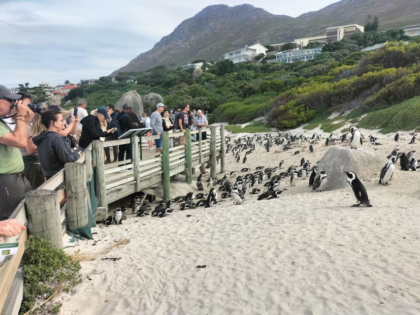 Private Tour: 4 Days - Experience the Best of Cape Town - Just The Basics