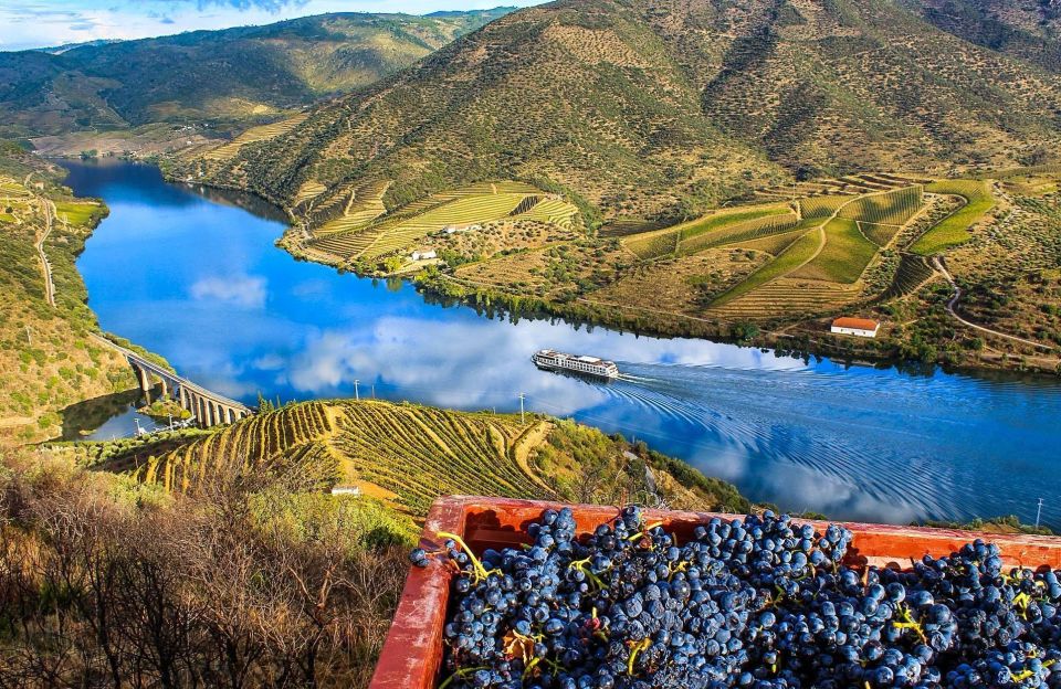 Private Tour: Douro Valley Wine and Food From Oporto - Key Points