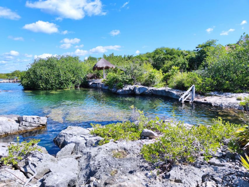 Private Tour: Great Snorkeling Adventure at the Riviera Maya - Key Points