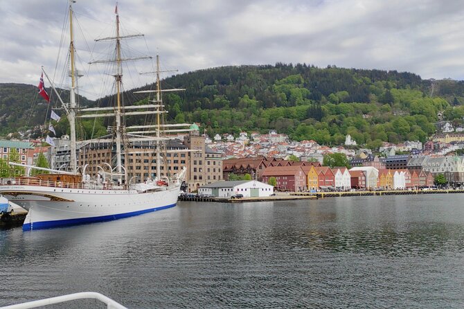 Private Tour in Bergen With Professional Guides - Pricing Details