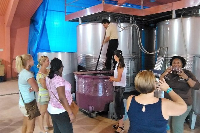 PRIVATE TOUR -Madrid Wineries Day Tou With Hotel Pickup and Lunch - Just The Basics