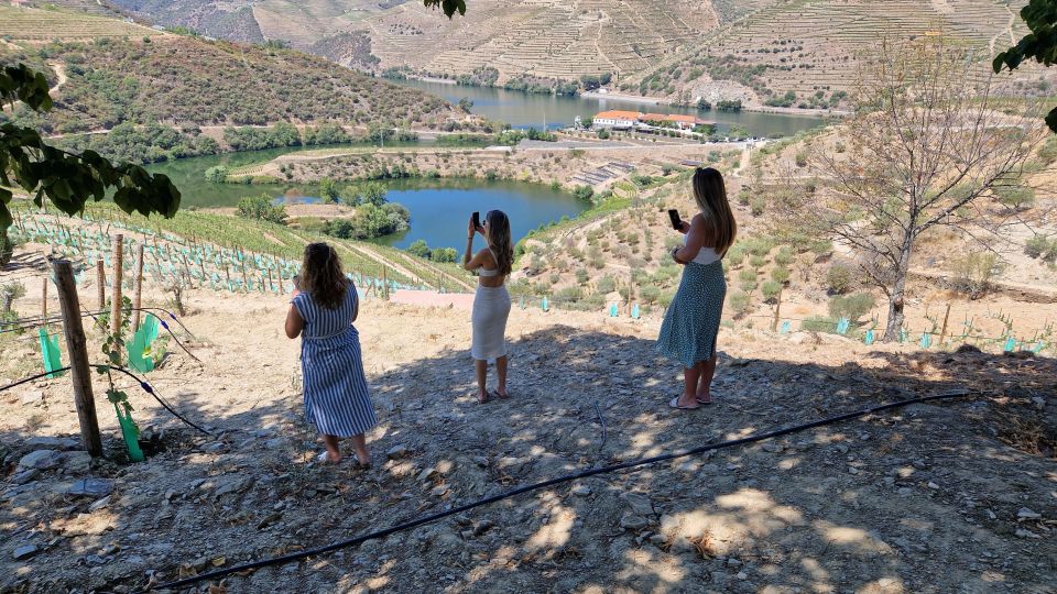 Private Tour to Douro Valley 2 Wine Tastings, Lunch and Boat - Key Points