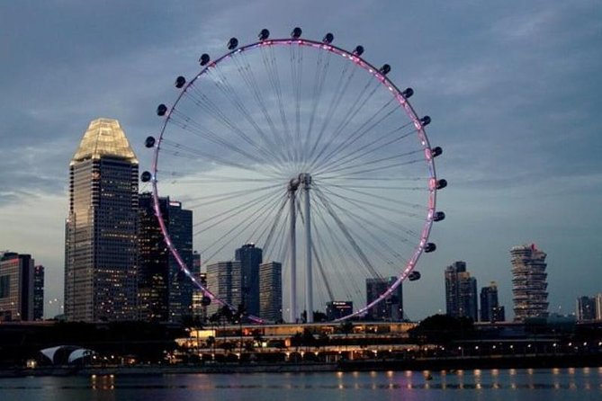 Private Tour:Singapore National Museum and Singapore Flyer and Ducktour - Tour Overview