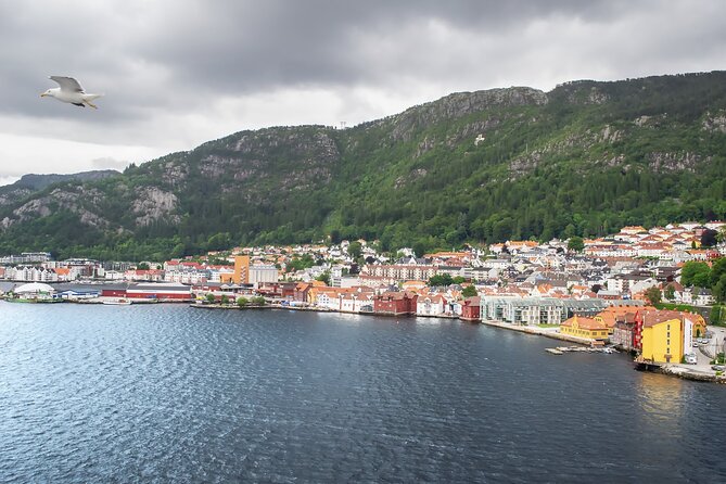 Private Transfer From Oslo To Bergen With a 2 Hour Stop - Route Overview