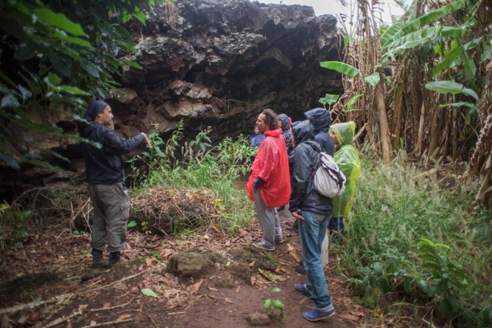 Private Trekking Tour: Easter Island Caves - Key Points