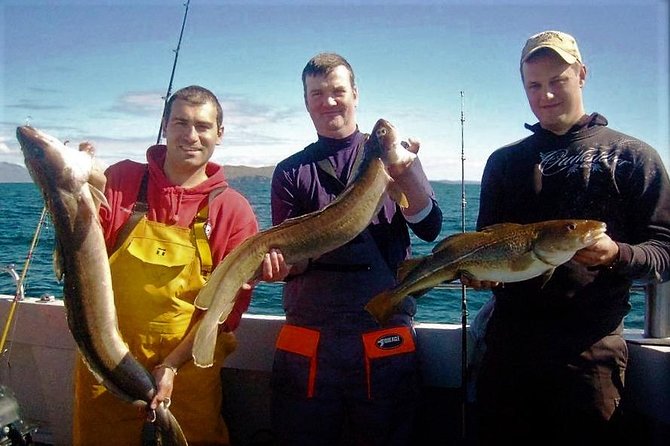 Private Trip: Connemara Deep Sea Angling Day Trip From Cleggan - Trip Inclusions