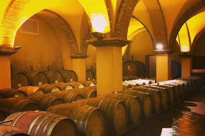 Private Tuscany Wine Tour Experience From Florence - Key Points