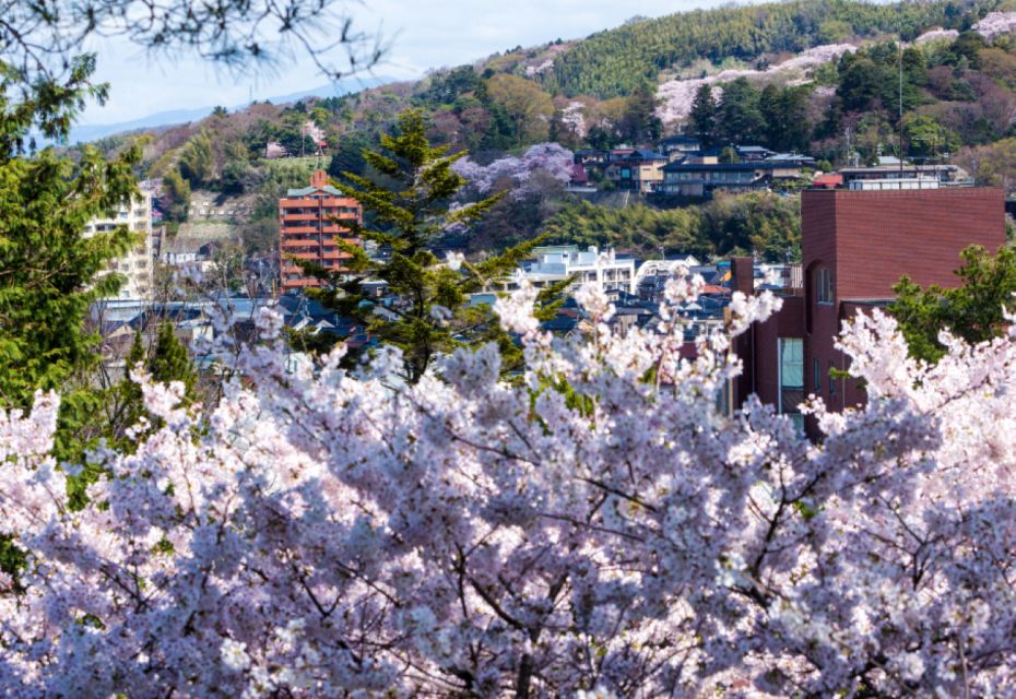 Private & Unique Kanazawa Cherry Blossom "Sakura" Experience - Just The Basics