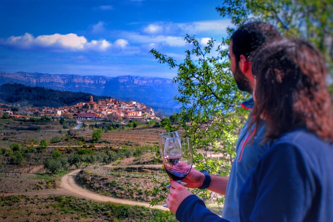 Private Wine and Oil Tour in the Priorat Wine Region - Key Points