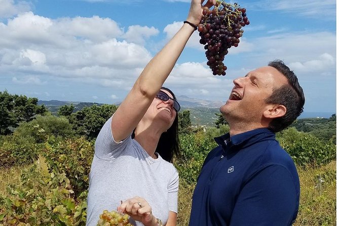 Private Wine and Olive Oil Tour With Wine Professional - Key Takeaways