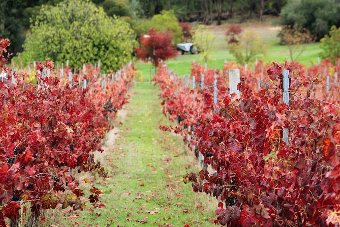 Private Wine Tour From Perth: Bickley Valley Half-Day - Key Points