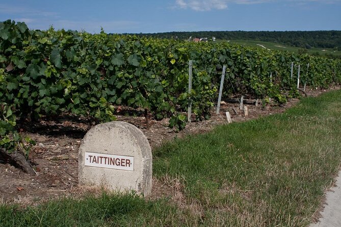 Private Wine Tour to Champagne Region From Paris - Key Points