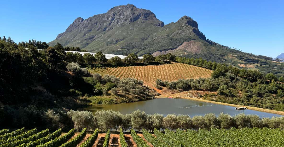 Private Wine Tour: Visit Stellenbosch, Franschhoek &Paarl - Just The Basics