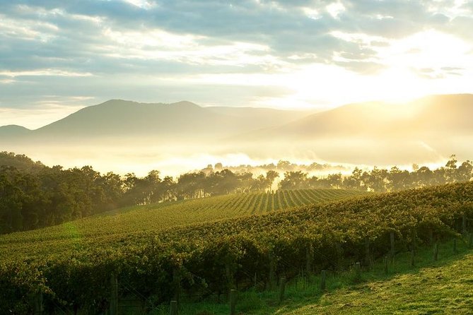 Private Yarra Valley Tour - Key Points