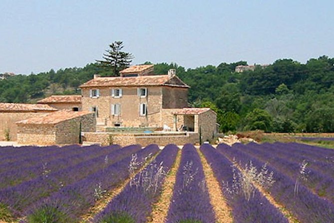 Provence and Lavender - Private & Guided Full Day Tour - Key Points