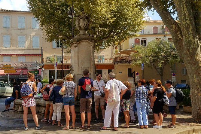 Public Visit Aix-En-Provence Fountains and Gardens - Key Points