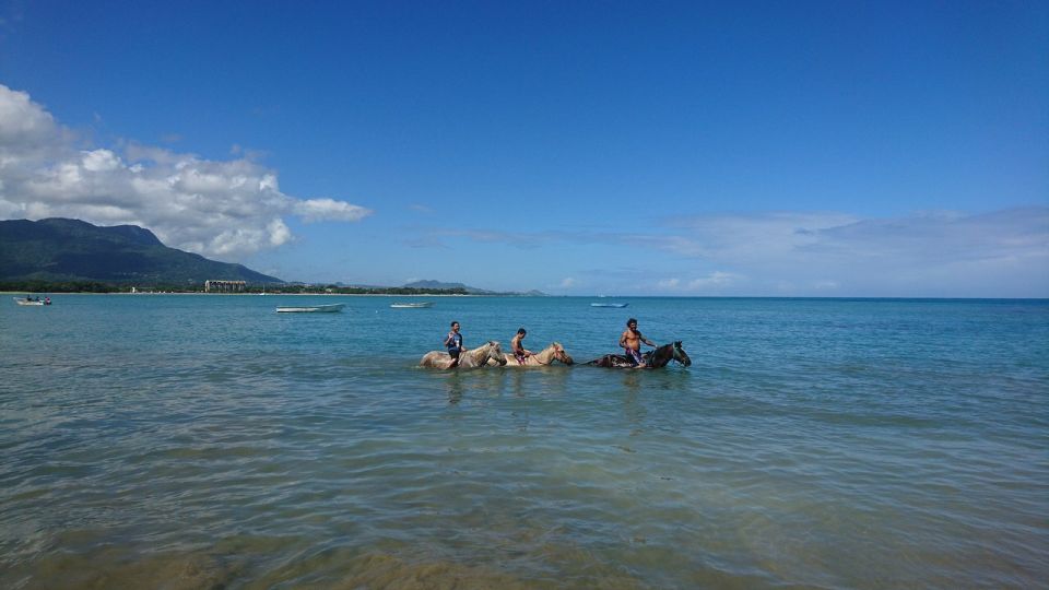 Puerto Plata: Horseback Riding on the Beach - Key Points