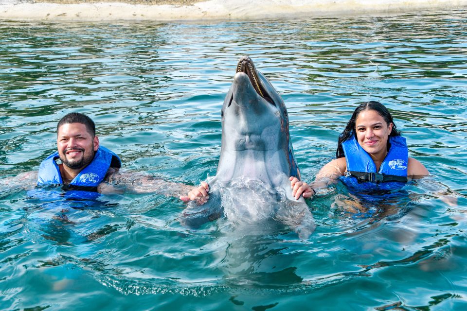 Puerto Plata: Ocean World Adventure Park Swim With Dolphins - Just The Basics
