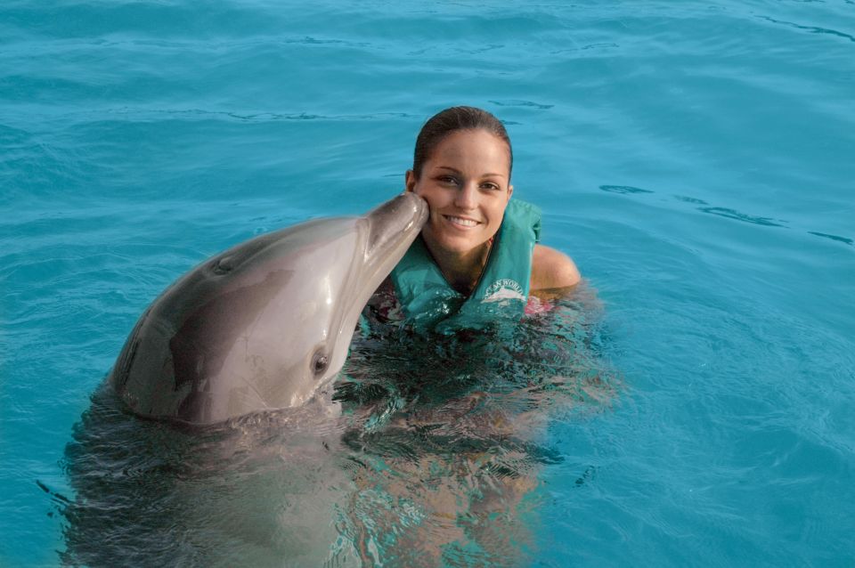 Puerto Plata Ocean World Dolphin Swim - Just The Basics