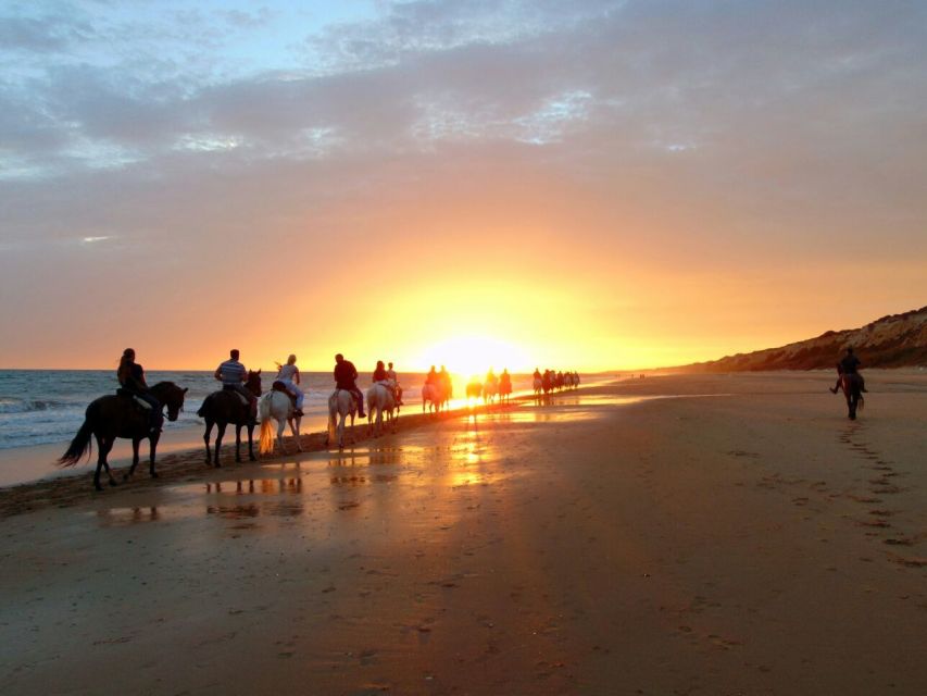 Puerto Plata: Sunset Beach Horseback Riding Tour - Activity Details