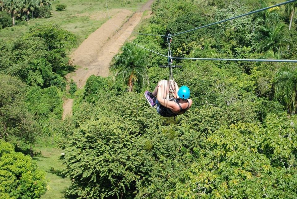 Puerto Plata: Treetop Zip Lining Adventure Experience - Key Points