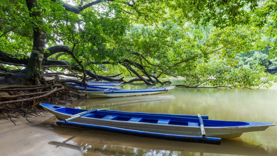 Puerto Princesa Underground River Tour in Palawan - Key Points