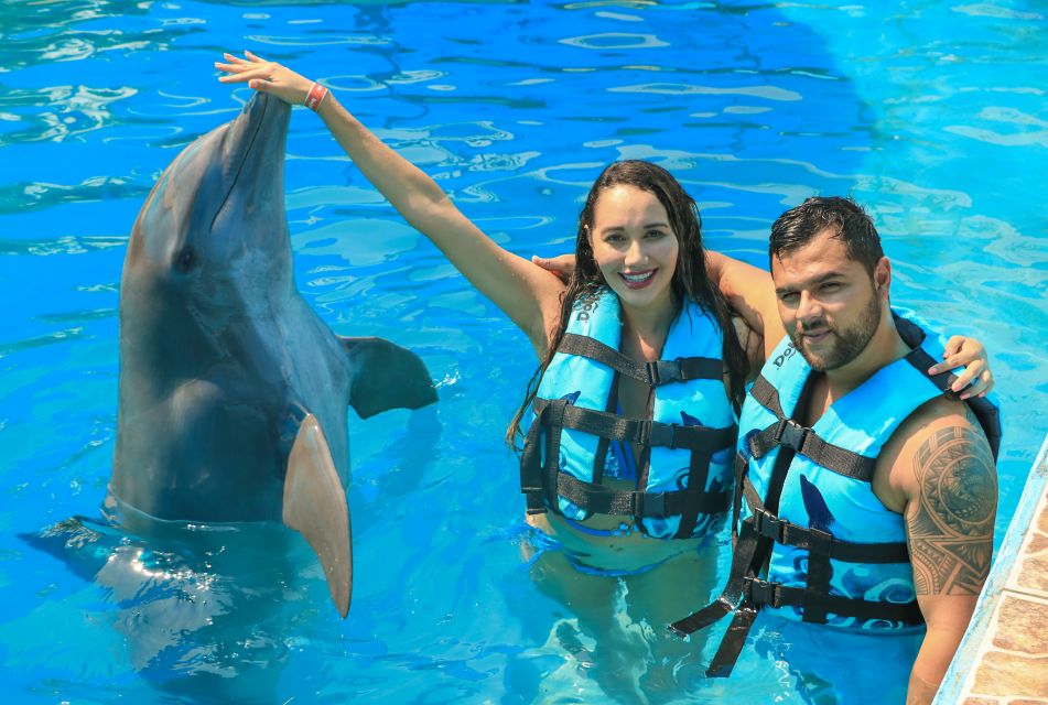 Puerto Vallarta: Dolphin Swimming and Aquaventuras Park - Key Points