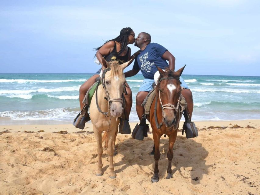 Punta Cana: 1 Hour of Horseback Riding With Hotel Pickup - Key Points