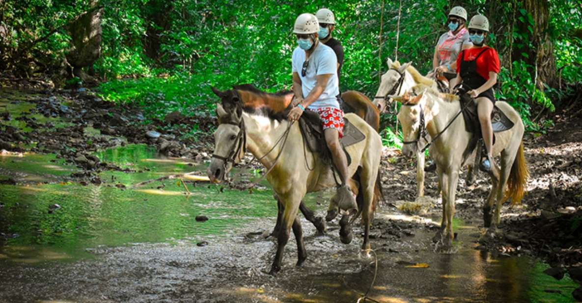 Punta Cana: 3 Tour Zip Line, Buggy and Horse Ride. - Key Points