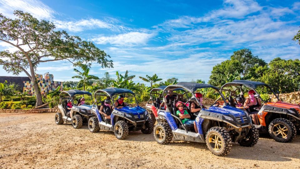 Punta Cana: Amazing Buggy Polaris and 4wheels - Key Points