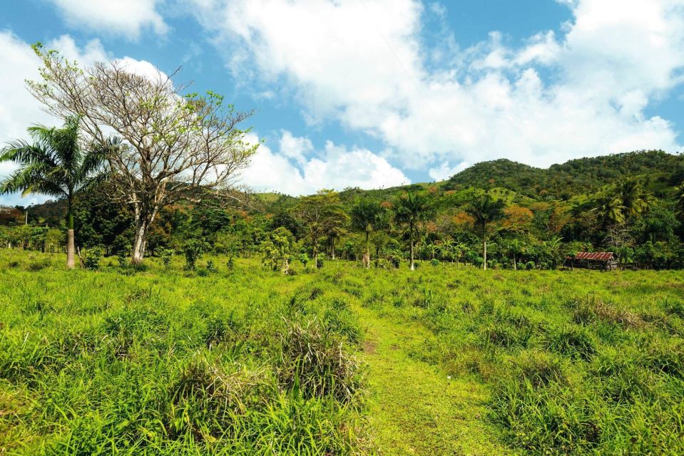 Punta Cana: Anamaya Mountains Walking Tour With Tasting - Key Points